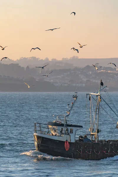 A fishing vessel out at sea with a misty orange sky