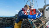Fishers on boat hauling in their catch