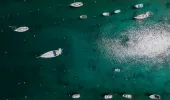 Top down view of boats moored in two lines